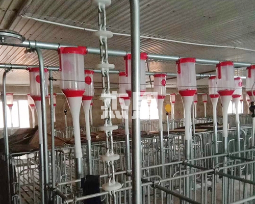 北京自动化养猪设备料线